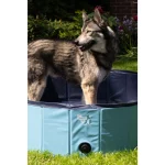 CoolPets Splash Dog Pool CoolPets Splash Dog Pool