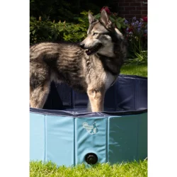CoolPets Splash Dog Pool