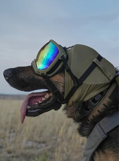 Coyote1 REX SPECS Gehoorbescherming Ear Pro Coyote
