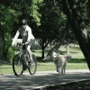 Cycleash Universele Fietsuitloging