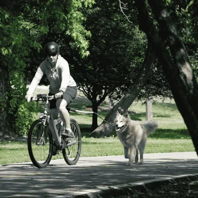 Cycleash Universele Fietsuitloging