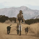 Cycleash Universele Fietsleash