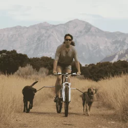 Cycleash Universele Fietsuitloging
