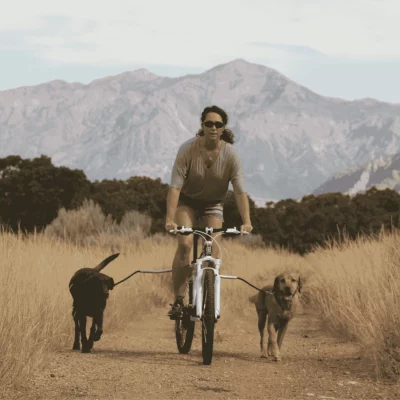 Cycleash Universele Fietsuitloging