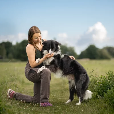 DC Dog Walker Allround Pants Bison Peanut Field