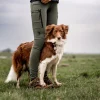 DC FeelFree Dog Walker Tights Beetle/Dakota