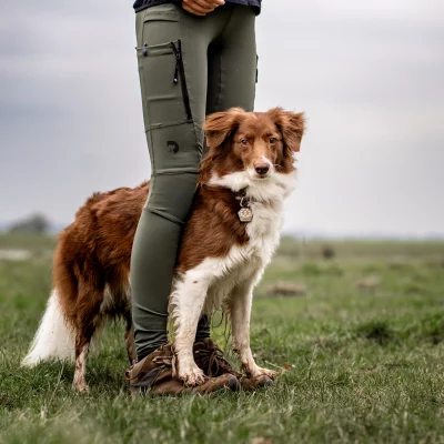 DC FeelFree Dog Walker Tights Beetle/Dakota