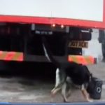 HGV Scent Box HGV Scent Box truck