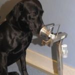 REST Filter Stands REST Filter Stands