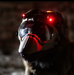 DarkFighter Helmet Gen4
