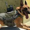 DarkFighter Ballisctisch K9 VEST DFK9