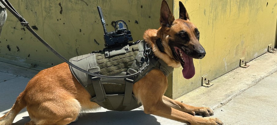 DarkFighter Ballistisch K9 Vest DFK9 DarkFighter Ballistisch K9 Vest DFK9