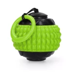 Dog Comets Blazar Jet Dog Comets Blazar Jet