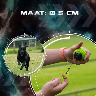 Dog Comets Blazar Jet 4 Dog Comets Blazar Jet