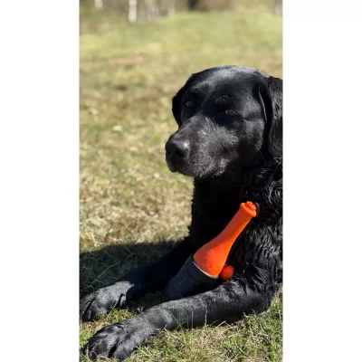 Dog Comets Bobber1 Dog Comets Bobber