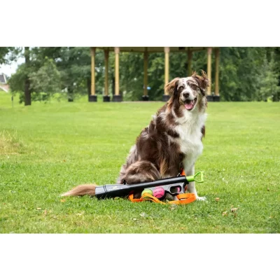 Dog Comets Comet Launcher6 Dog Comets Comet Launcher