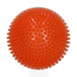 Dog Comets Exoplanet Egelbal