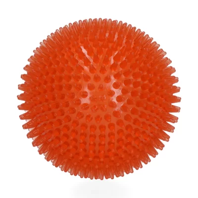 Dog Comets Exoplanet Egelbal2 Dog Comets Exoplanet Egelbal