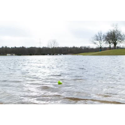 Dog Comets Glow In The Dark Moon Bal3 Dog Comets Glow In The Dark Moon Bal