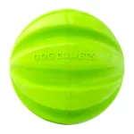 Dog Comets Hale Bopp Dog Comets Hale Bopp