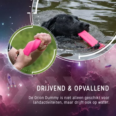 Dog Comets Orion Dummy2 Dog Comets Orion Dummy