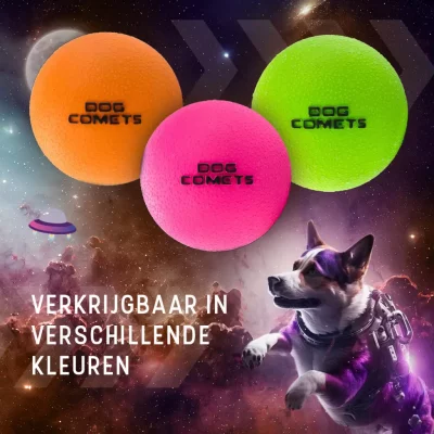 Dog Comets Stardust S Dog Comets Stardust S