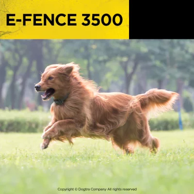 EF3500_en_FR_4_1500x DOGTRA E-FENCE 3500