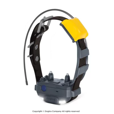EU_PATHFINDER2-MINI-RX-Black-Thumbnails DOGTRA Pathfinder 2 GPS Halsband MINI