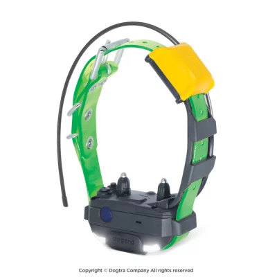 EU_PATHFINDER2-MINI-RX-Green-Thumbnails DOGTRA Pathfinder 2 GPS Halsband MINI