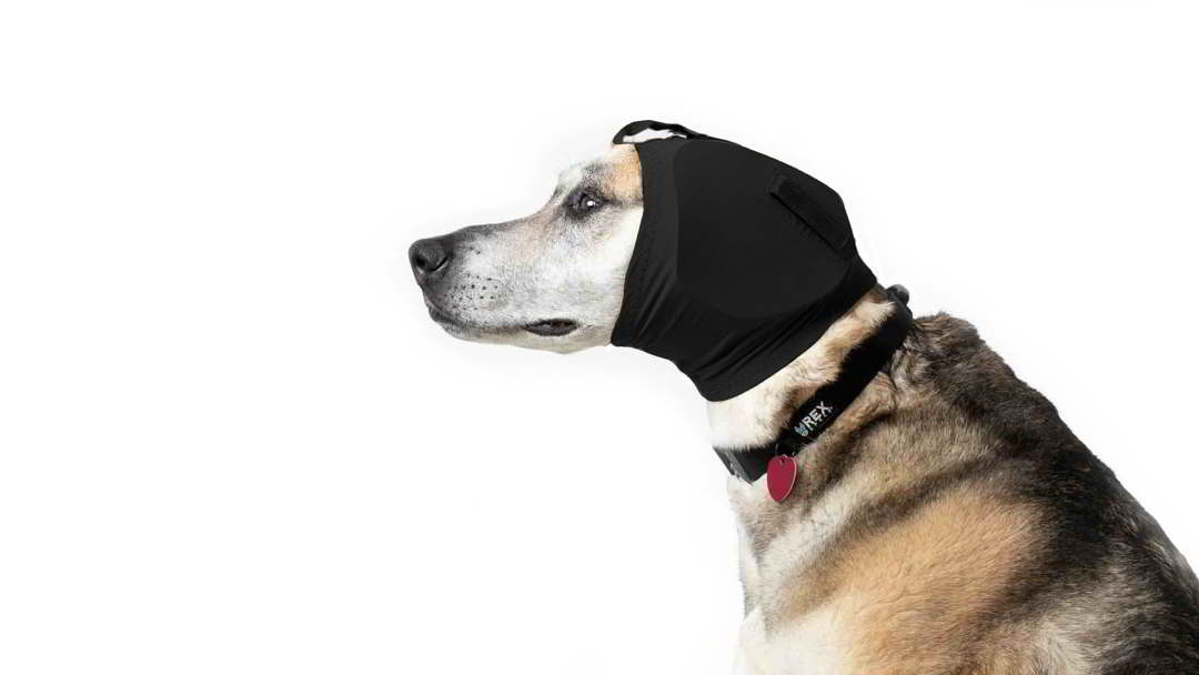 inhoud Beide Kostuum REX-SPECS Gehoorbescherming honden Ear-Pro - Dogpride NL