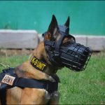 Elite K9 Military Wire Muzzle