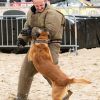 Euro Joe Frans Ringpak - Zwaar Trainingsmodel3 Euro Joe Frans Ringpak - Zwaar Trainingsmodel