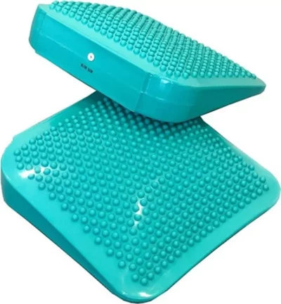 FitPAWS Dog Balance Ramp FitPAWS Dog Balance Ramp