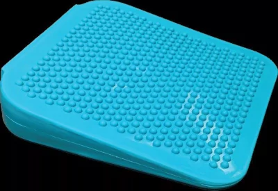 FitPAWS Dog Balance Ramp1 FitPAWS Dog Balance Ramp