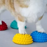 FitPAWS Paw Pods FitPAWS Paw Pods