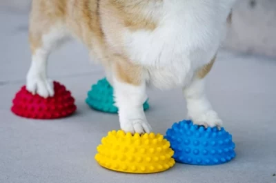 FitPAWS Paw Pods FitPAWS Paw Pods