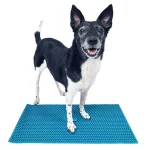 FitPaws K9 FitMat FitPaws K9 FitMat