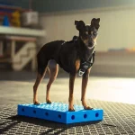 Fitkinect Upgrade Kit - Rectangles Fitkinect Upgrade Kit - Rectangles