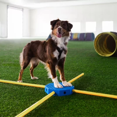 Fitpaws FitKinect Core1 Fitpaws FitKinect Core