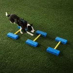 Fitpaws FitKinect Core Fitpaws FitKinect Core