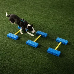 Fitpaws FitKinect Core