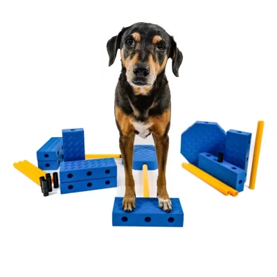 Fitpaws FitKinect Xtra Fitpaws FitKinect Xtra