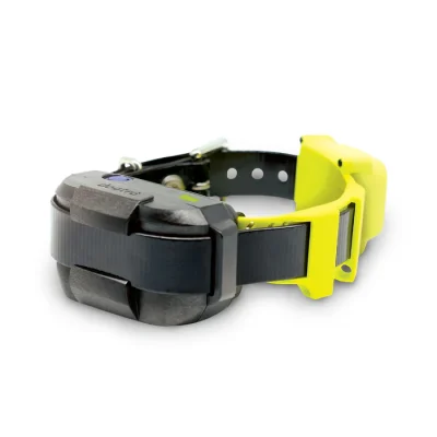 GPSFENCEThumbnail250414_0010_onlyproduct DOGTRA GPS Fence