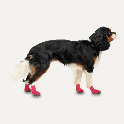 Goo-eez Dog Boots Ultras1 Goo-eez Dog Boots Ultras 2