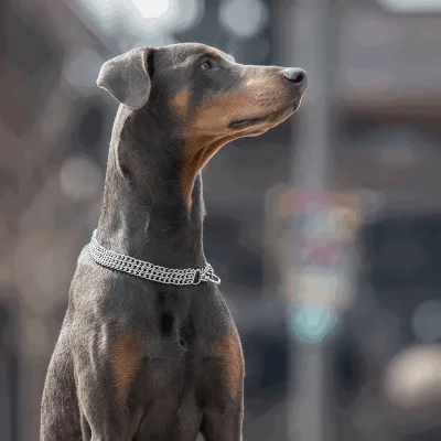 HS SPRENGER 3 Dubbele Platte Schakelketting 2.0 mm