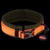 HS Sprenger Halsband 2 HS Sprenger Halsband
