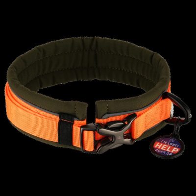 HS Sprenger Halsband 2 HS Sprenger Halsband