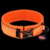 HS Sprenger Halsband 3 HS Sprenger Halsband
