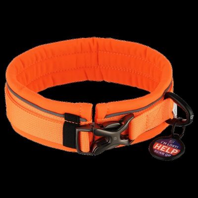 HS Sprenger Halsband 3 HS Sprenger Halsband