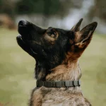 HS Sprenger NeckTech Fun mit ClicLock HS Sprenger NeckTech Fun mit ClicLock